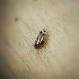 14 Karat Rosegold Beetle Attachment by Kiwii jewelry