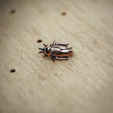 14 Karat Rosegold Beetle Attachment by Kiwii jewelry