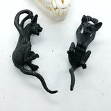 The Mistress of Riddles - Queen of the Ashes - Pain Couture Body Piercing