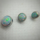 Internally threaded white faux-pal attachment - Pain Couture Body Piercing - Pain Couture Body Piercing