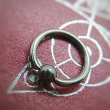 Captive Beadring - Qualiti - Pain Couture Body Piercing